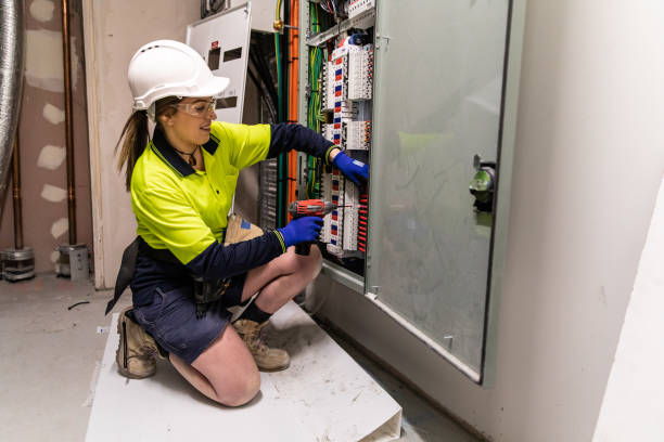 Best 24-Hour Electrician  in Olivia, MN