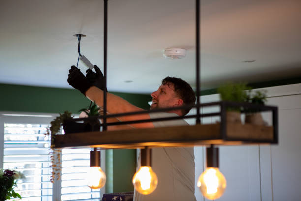 Best Commercial Electrician Services  in Olivia, MN