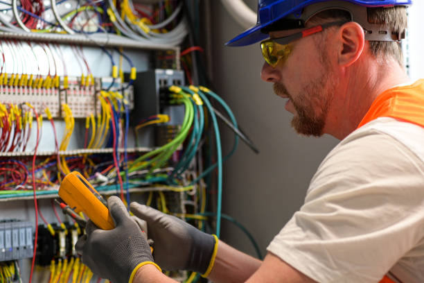 Best Electrician for Home Renovation  in Olivia, MN