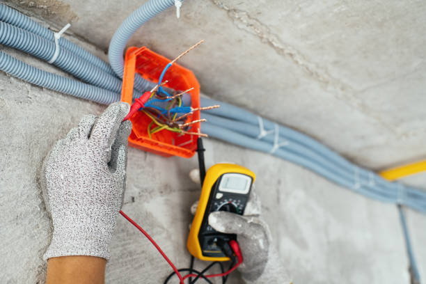 Best Home Electrical Repair  in Olivia, MN